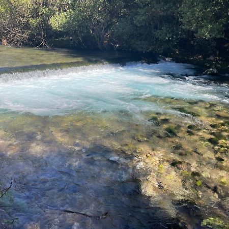Green Paradise With Swimming Pool Gruda Εξωτερικό φωτογραφία