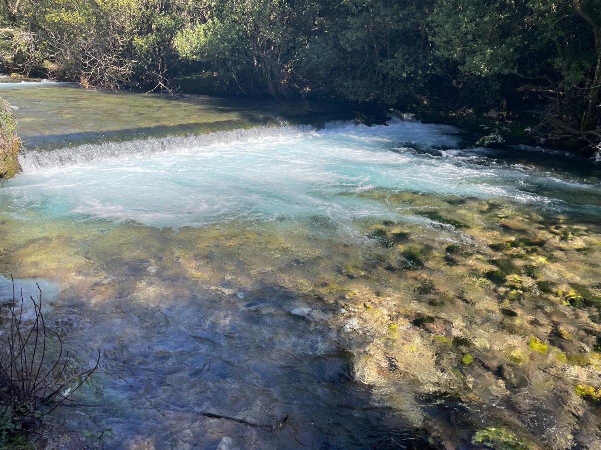 Green Paradise With Swimming Pool Gruda Εξωτερικό φωτογραφία