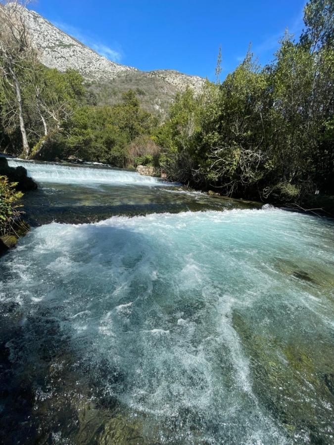 Green Paradise With Swimming Pool Gruda Εξωτερικό φωτογραφία